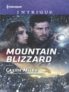 Cover image for Mountain Blizzard